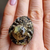 Milky Fossil Amber Carved Spider Cabochon